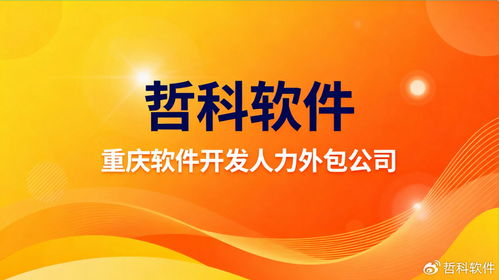 重慶軟件開(kāi)發(fā)人力外包服務(wù)新選擇 揭秘行業(yè)頂尖合作伙伴